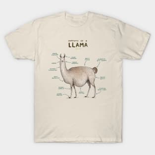 Anatomy of a Llama T-Shirt